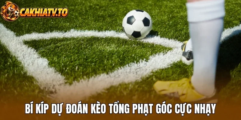 Bí kíp dự đoán kèo tổng phạt góc cực nhạy