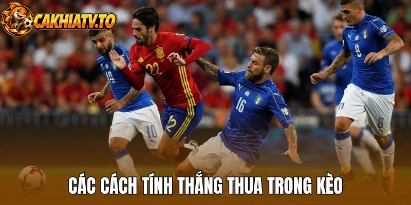 Các cách tính thắng thua trong kèo