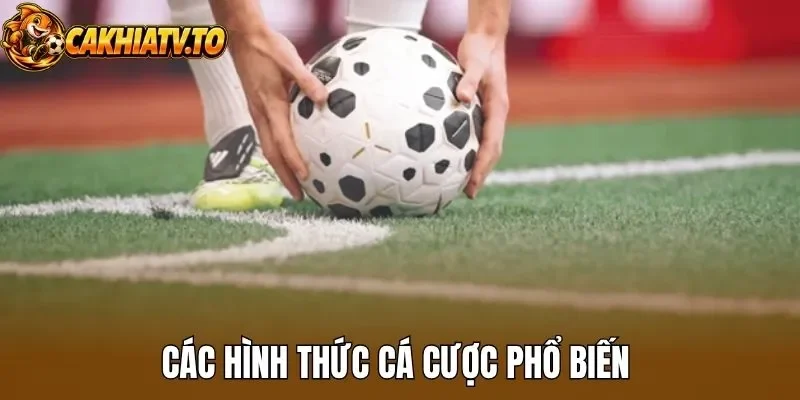 Các hình thức cá cược phổ biến 