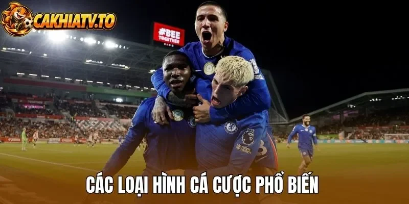Các loại hình cá cược phổ biến 