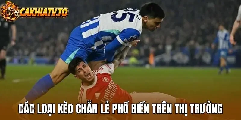 Các loại kèo chẵn lẻ phổ biến trên thị trường