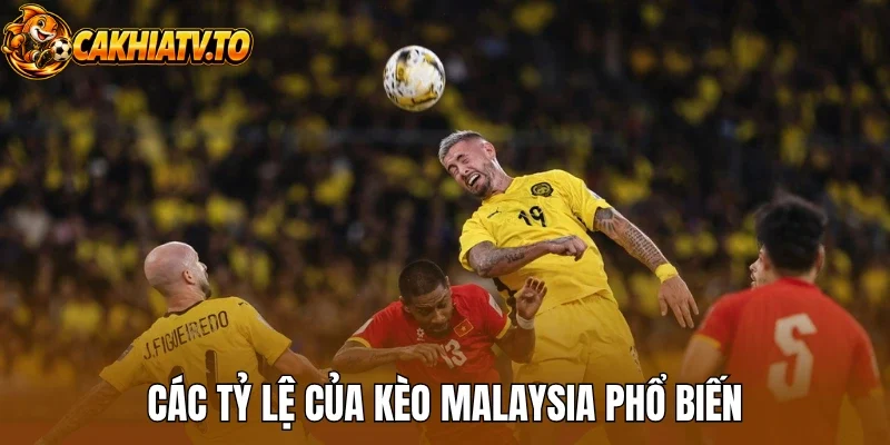 Các tỷ lệ của kèo Malaysia phổ biến