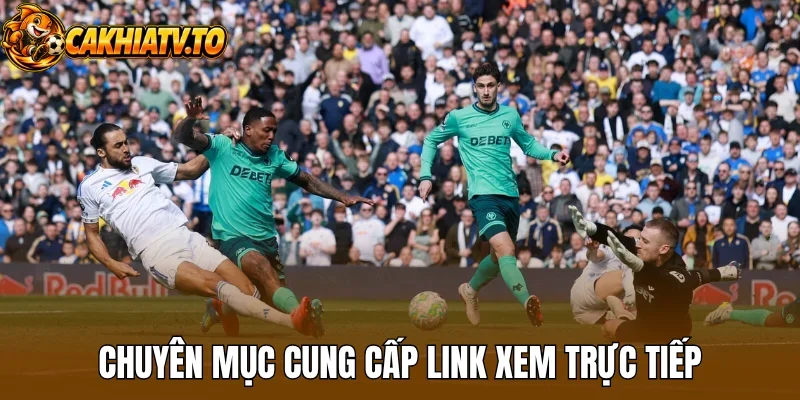 Chuyên mục cung cấp link xem trực tiếp