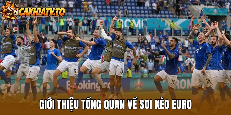 Giới thiệu tổng quan về soi kèo Euro