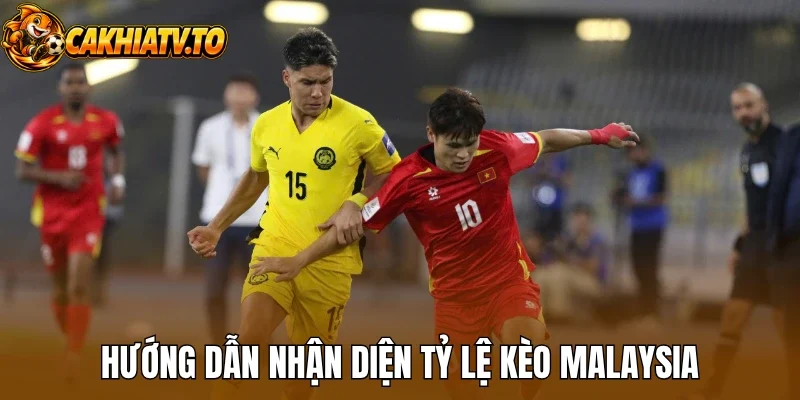 Hướng dẫn nhận diện tỷ lệ kèo Malaysia