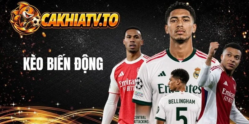 Khái niệm cơ bản về kèo biến động