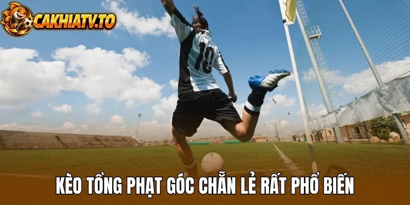 Kèo tổng phạt góc chẵn lẻ rất phổ biến