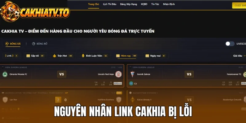 Nguyên nhân link Cakhia bị lỗi