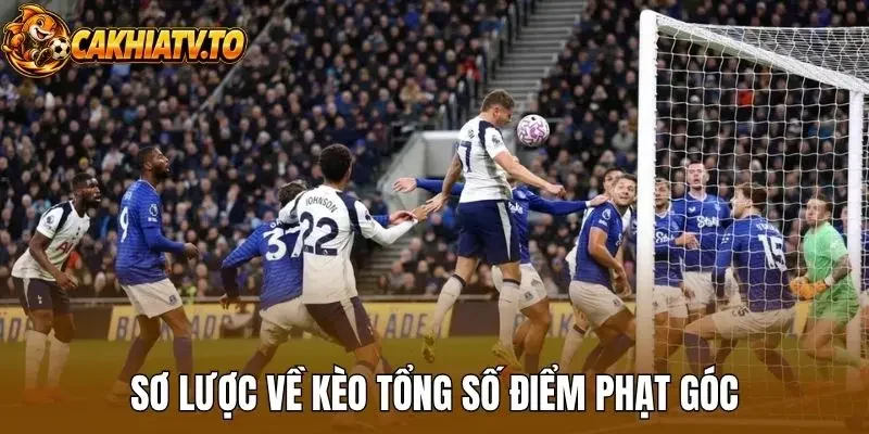 Sơ lược về kèo tổng số điểm phạt góc