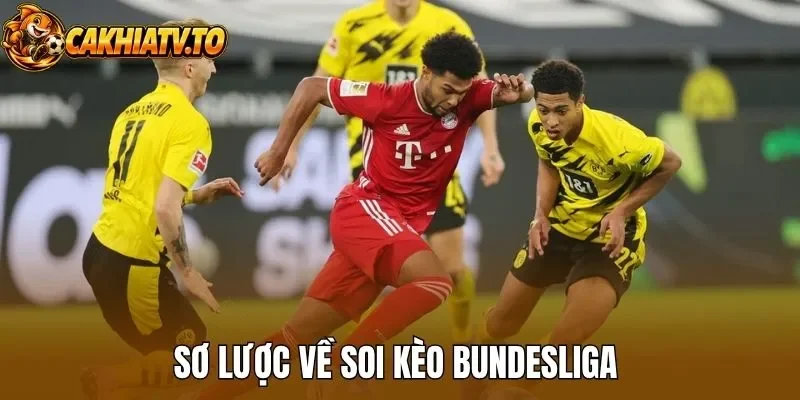 Sơ lược về soi kèo Bundesliga 