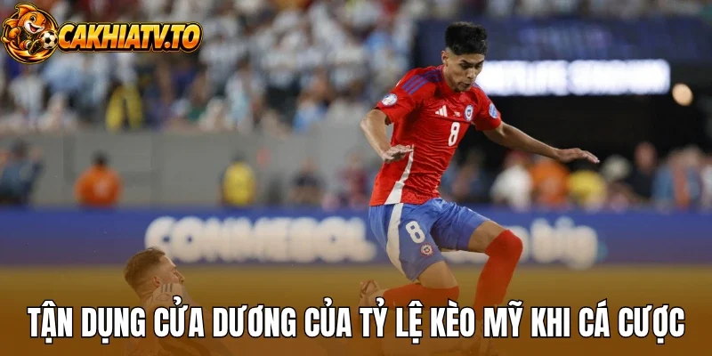 Tận dụng cửa dương của tỷ lệ kèo Mỹ khi cá cược
