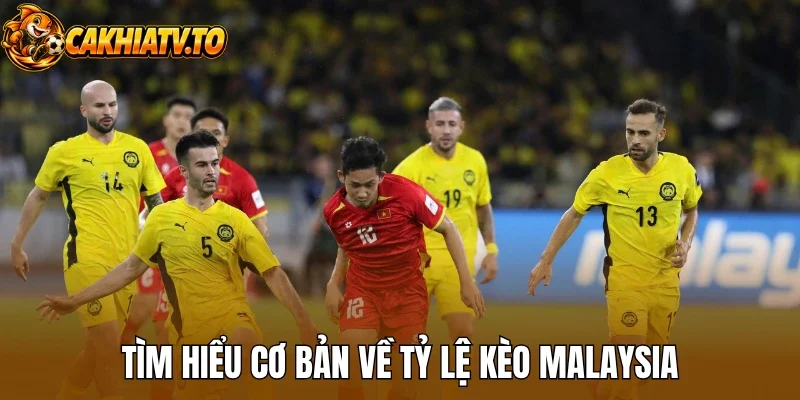 Tìm hiểu cơ bản về tỷ lệ kèo Malaysia