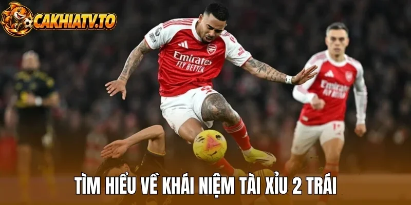Tìm hiểu về khái niệm tài xỉu 2 trái
